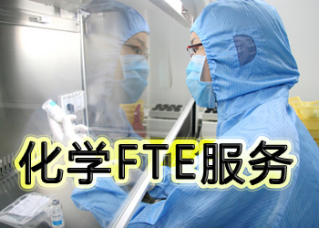 k8国际化学FTE服务