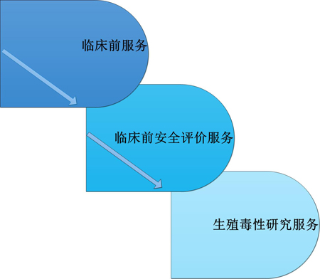 k8国际临床前服务中的生殖毒性服务