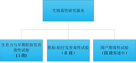 k8国际的生殖毒性服务