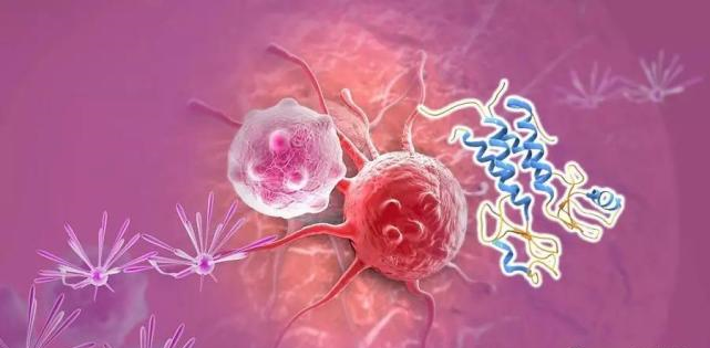 【盘点】高选择性mTOR抑制剂的研究进程_k8国际生物医药