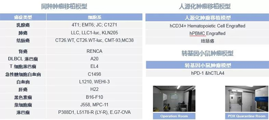 k8国际药效学动物模型