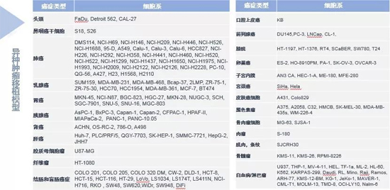 k8国际药效学动物模型