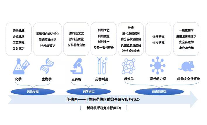 k8国际业务范围