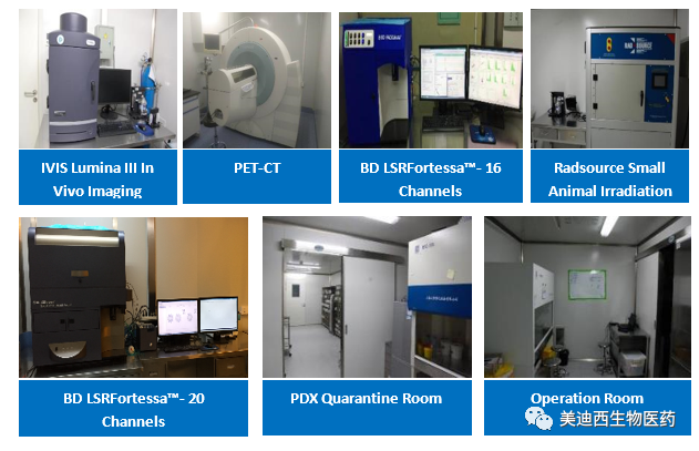 k8国际药理部拥有IVIS Lumina III, PET-CT, BD LSRFortessa-16, Flow Cytometry等仪器，提供符合申报，支持临床试验的药效评价服务。