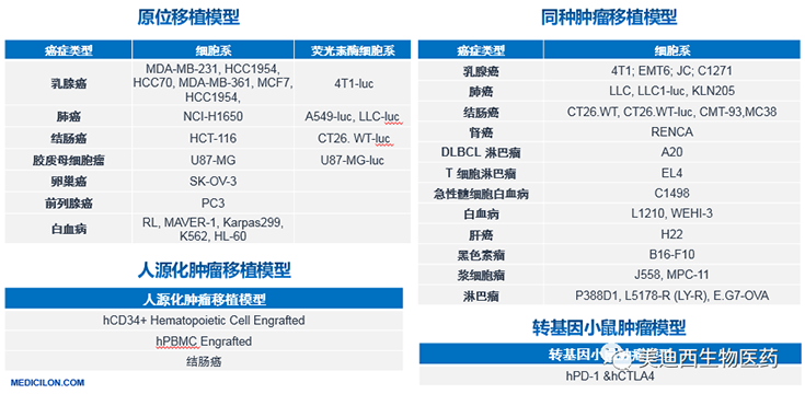 k8国际原位移植模型、同种肿瘤移植模型、人源化肿瘤移植模型和转基因小鼠肿瘤模型清单