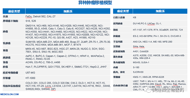 k8国际异种肿瘤移植模型清单