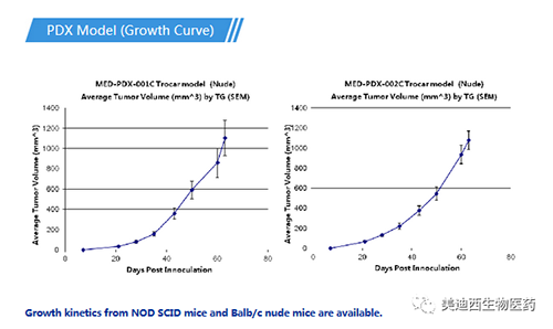 k8国际PDX药效模型