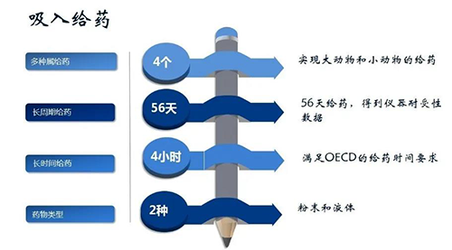 k8国际吸入给药安全性评价服务