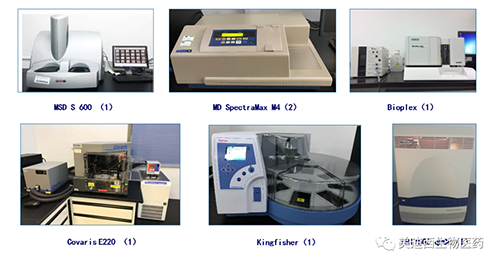 k8国际生物技术药物分析部服务仪器