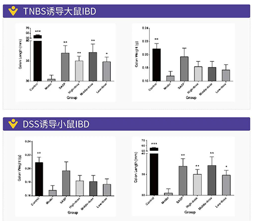 TNBS诱导的大鼠IBD、DSS诱导的大鼠IBD