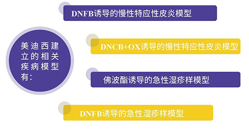 k8国际建立的特应性皮炎及湿疹模型