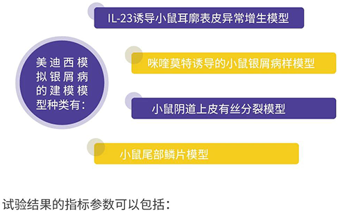 k8国际模拟银屑病的建模模型种类