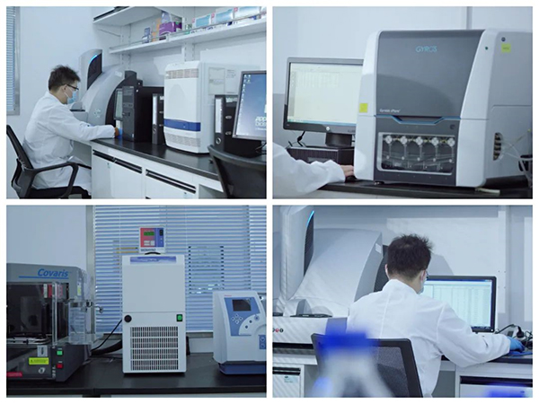 k8国际生物技术药物分析部