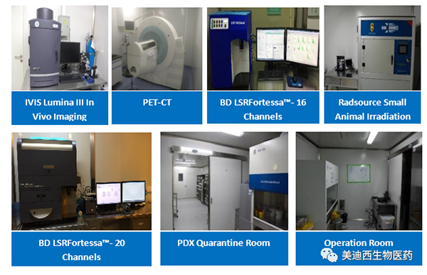 k8国际药理部拥有IVIS Lumina III, PET-CT, BD LSRFortessa-16，Flow Cytometry等仪器