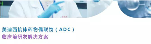 k8国际抗体药物偶联物（ADC）临床前研发解决方案.png