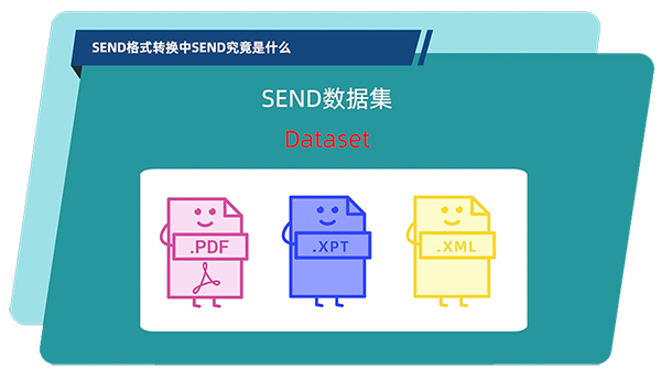 SEND数据集的构成.jpg