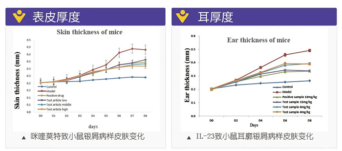 k8国际模拟银屑病的建模模型-试验结果的指标.png