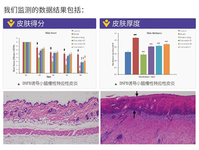 k8国际监测的数据结果.png