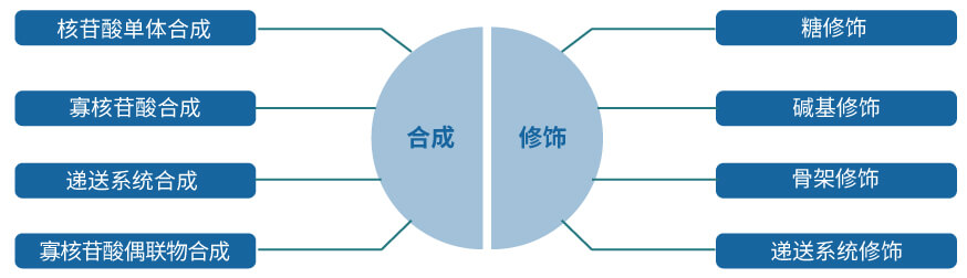 k8国际核酸药物研发服务平台.jpg