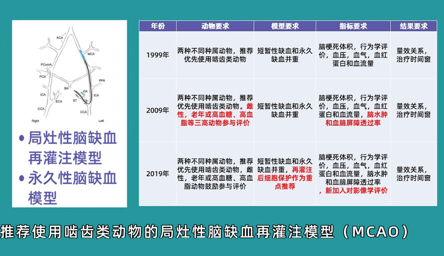 袁云云博士：啮齿类动物脑卒中疾病药效成药性评价系统（2）.jpg