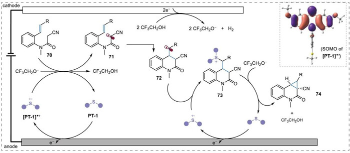 7-Mechanistic-proposal.jpg