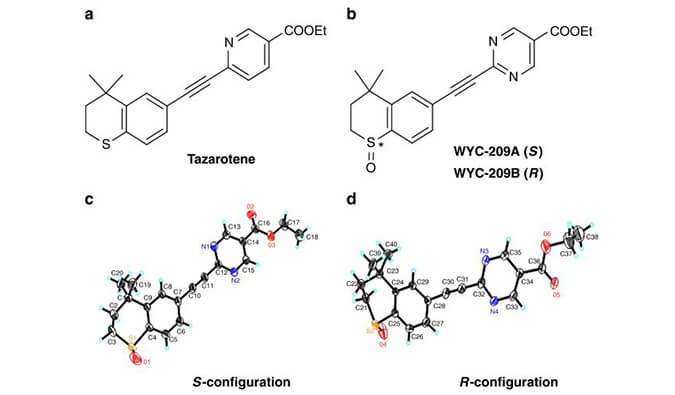 WYC-209可抑制恶性小鼠黑色素瘤肿瘤再生细胞增殖，SPR分析通过k8国际使用Biacore 8K设备进行