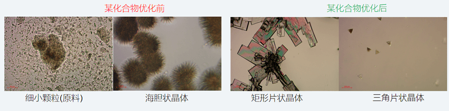 05案例分享-单晶培养，改变晶习.png