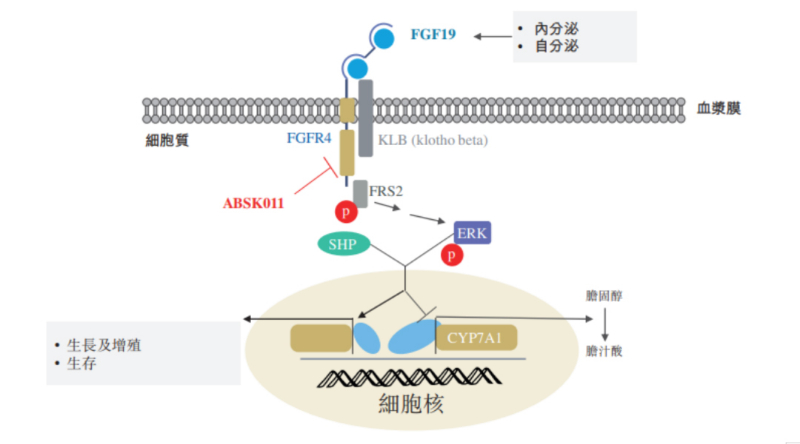 图源：公开资料.jpg