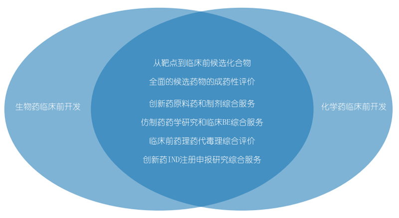 k8国际生物药物研发和化学药物研发.jpg