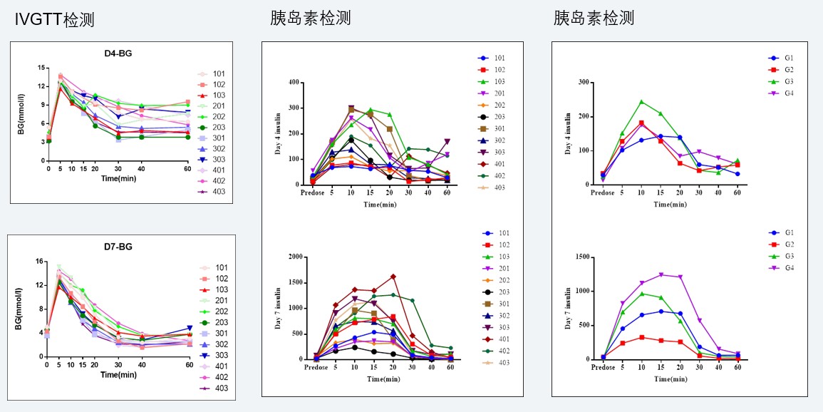 案例4：食蟹猴IVGTT和胰岛素检测实验.jpg